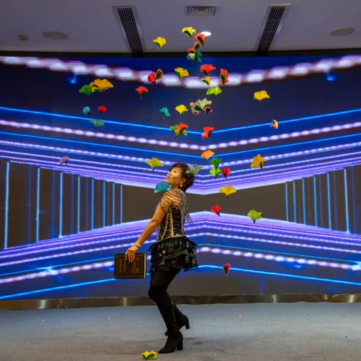 Performance du programme