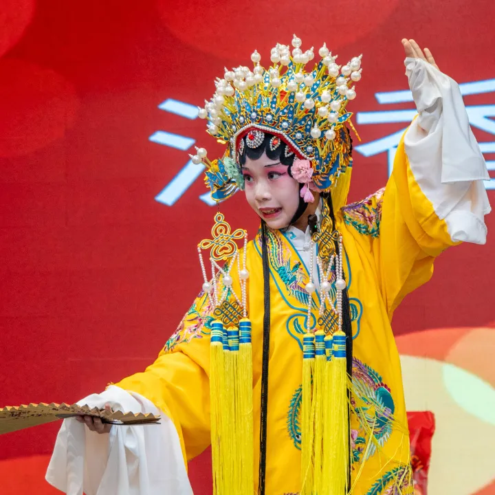 Performance du programme