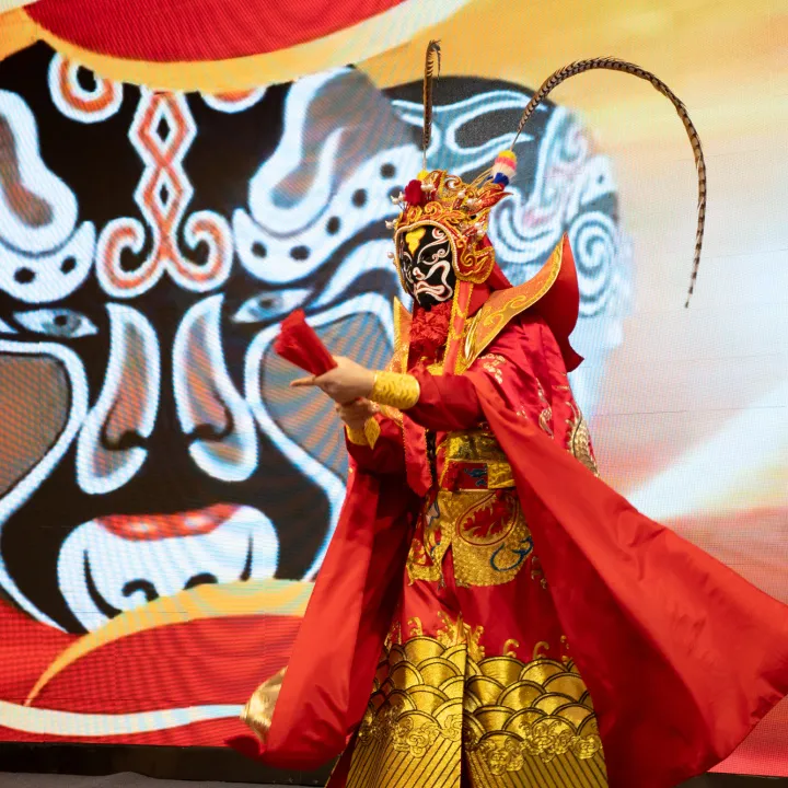 Performance du programme